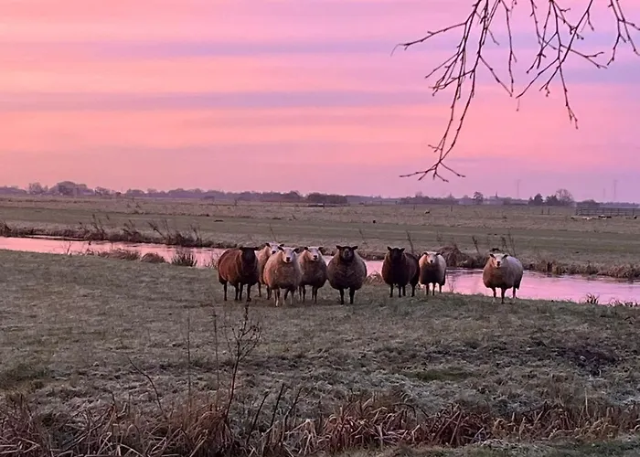 B&B De Beijersche Stee, Logies aan de Waterkant