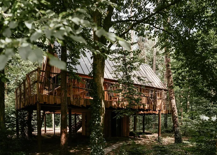 Unique Treehouses With Hot Tub By Bed En Boshuisjes