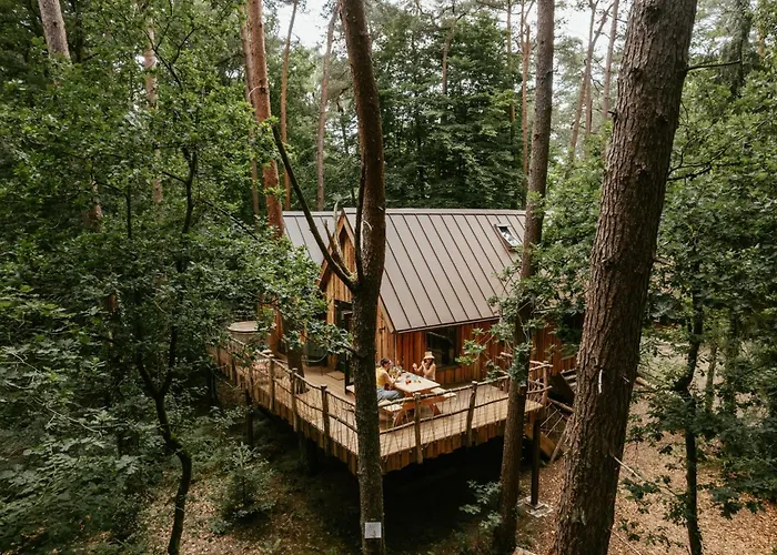 Unique Treehouses With Hot Tub By Bed En Boshuisjes